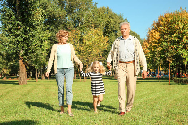 Elderly couple with granddaughter in park - Zdjęcie, obraz