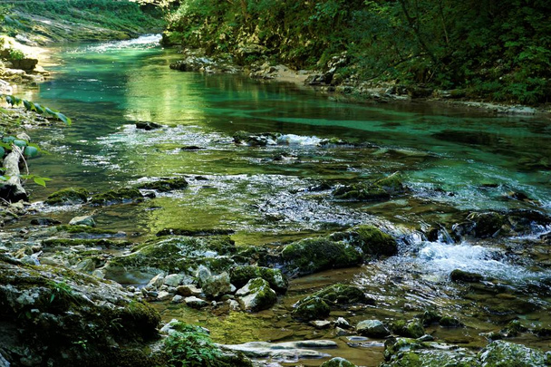 Rivière Radovna pure et fraîche à Podhom
 - Photo, image