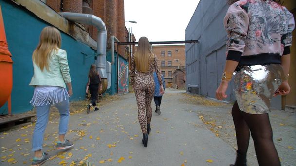 Frauen, die auf die Straße gehen. Gruppenschönheit die Mädchen gehen auf die Straßen der schönen Gang. sexy Mädchen - Foto, Bild