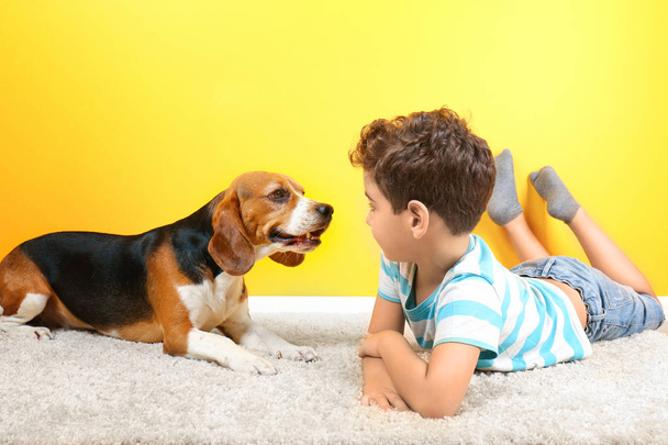 Cute boy with dog near color wall - Photo, image