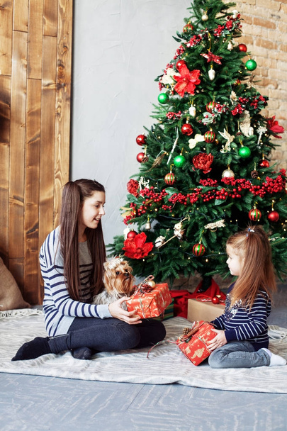 Girl gives gift to sister. The concept of Christmas and New Year - Photo, Image