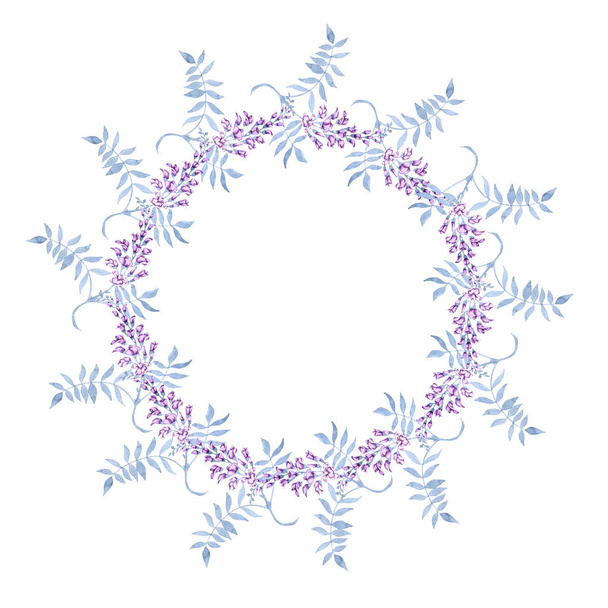 Blumen auf einem Zweig einer Glyzinien. Rahmen isoliert auf weißem Hintergrund. - Foto, Bild
