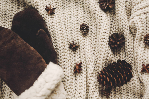 Pine cones and warm mittens on sweater  - Photo, Image