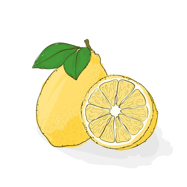 Желтый, кислый, сочный лимон. Натюрморт из фруктов. Ручная ветчина
 - Вектор,изображение