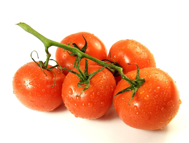Tomates vid
 - Foto, Imagen