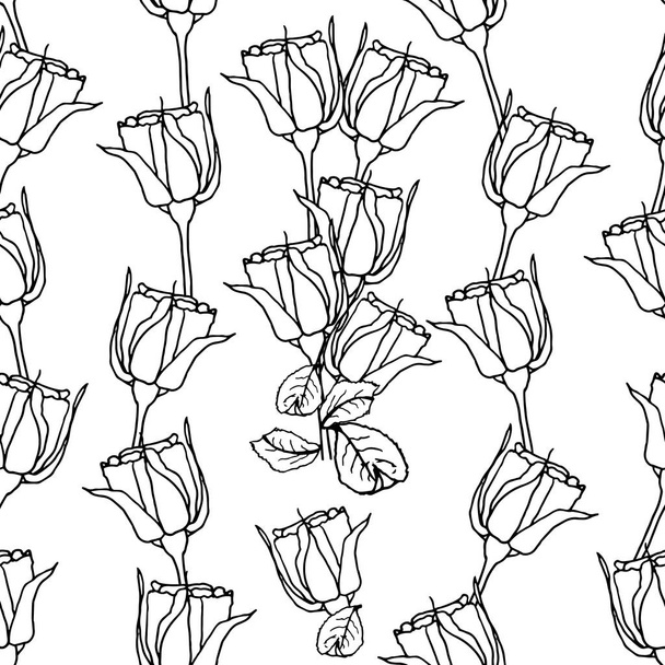 Patrón sin costuras con forro de rosas negras sobre blanco. ilustración
 - Foto, Imagen
