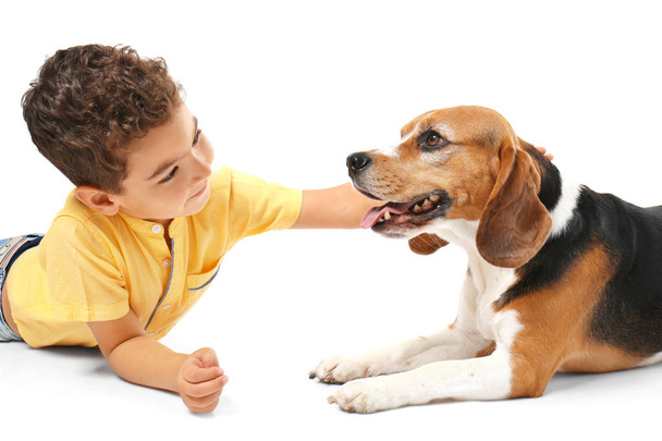 Cute little boy with dog on white background - 写真・画像