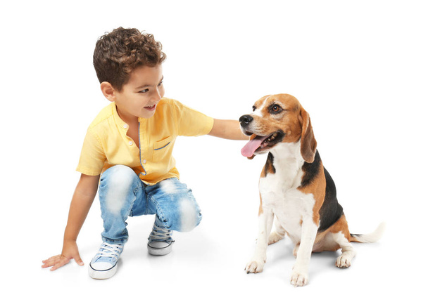 Cute little boy with dog on white background - Foto, imagen