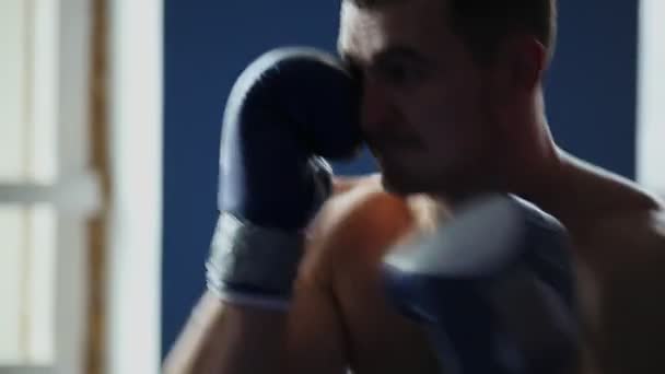Obsahuje profesionální boxer stín boxu nosí Boxerské rukavice s košili. Pohyb vertikální kamery v detail. Pánev. - Záběry, video
