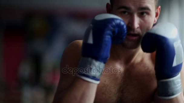 Man with Boxing gloves Boxing in front of the camera close up. Close-up of young man punching. Boxer performing uppercut. - Video