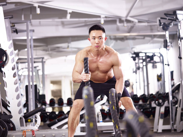 asiatico bodybuilder esercizio in palestra
 - Foto, immagini
