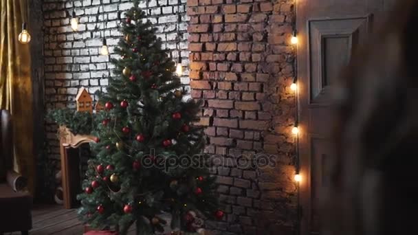 the guy with the girl in a sweater came into the room with a festive Christmas tree - Imágenes, Vídeo