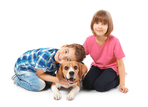 Cute children with dog on white background - Photo, image