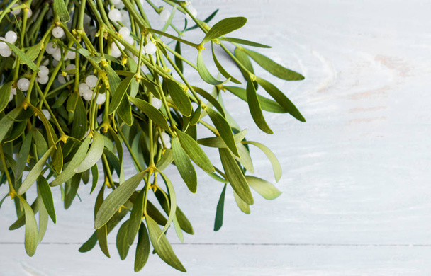 Mistletoe close up - Фото, зображення