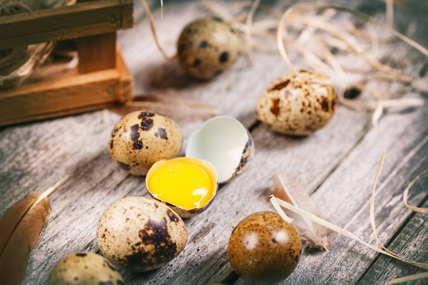 Fresh quail egg - Fotografie, Obrázek