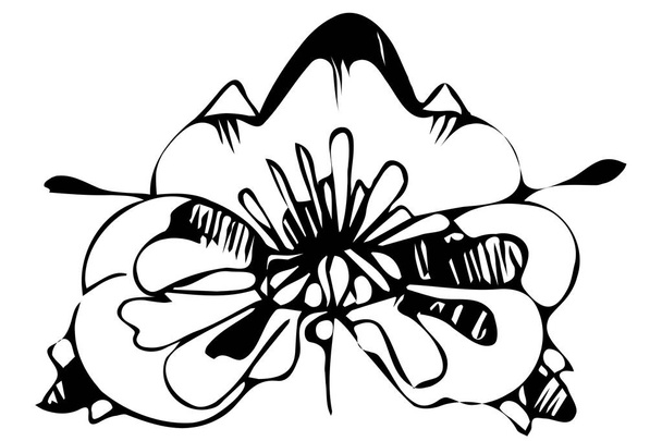 sketch abstract flower - Vector, afbeelding