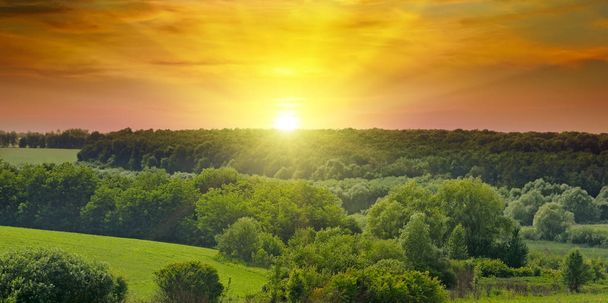 Vihreät pellot ja kirkas auringonnousu. Laaja kuva. Maatalousmaisematc
 - Valokuva, kuva