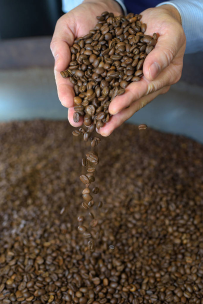Hands scooping coffee grains - Foto, afbeelding