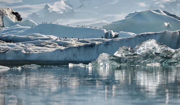 Beautiful cold landscape picture of icelandic glacier lagoon bay, - Fotoğraf, Görsel