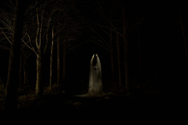 Ghost in the dark forest - Photo, Image