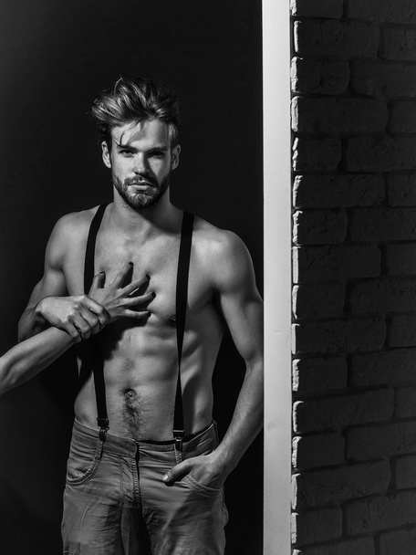 Handsome muscular sexy man - Valokuva, kuva