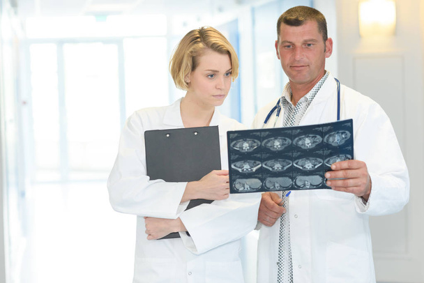 team of medical professionals looking at xray - Фото, изображение