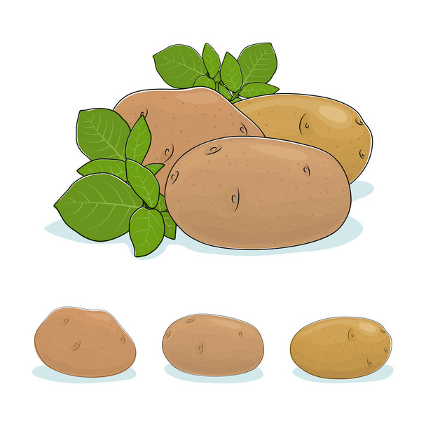 Овощи картофеля, съедобные фрукты
 - Вектор,изображение