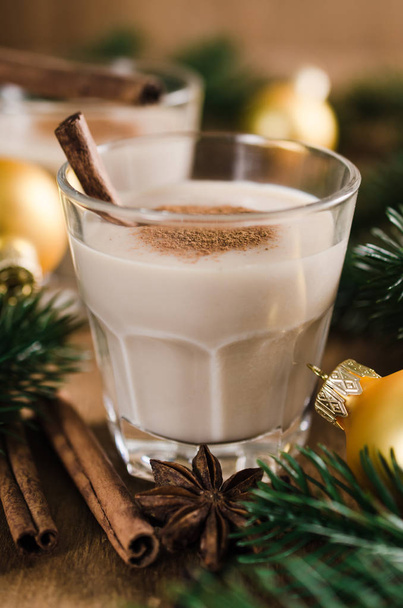 Homemade Eggnog Cocktail for Christmas Eve. - Photo, Image