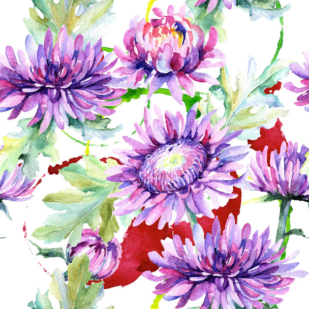 Wildflower Χρυσάνθεμο λουλούδι μοτίβο σε στυλ υδροχρώματος. - Φωτογραφία, εικόνα