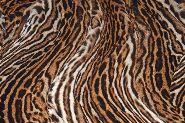 Leopard tekstura skóry - Zdjęcie, obraz