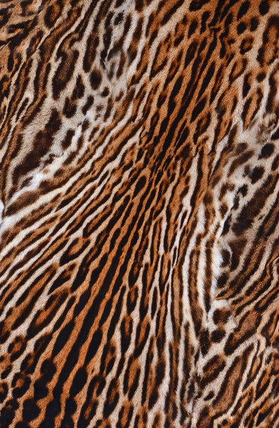 leopardo pele fundo textura
 - Foto, Imagem