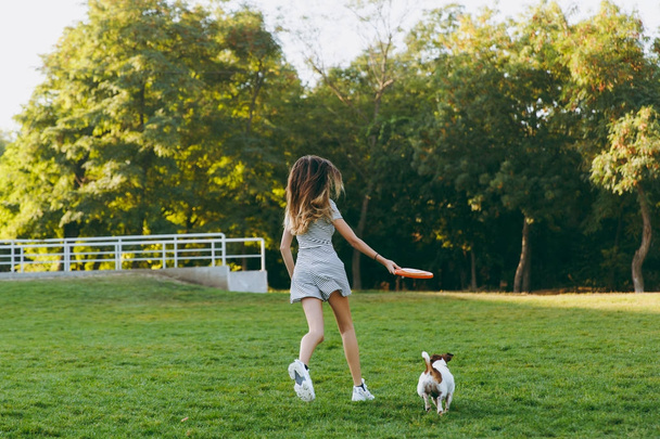 Girl throwing orange frisbee to small funny dog, which catching it on the green grass. Little Jack Russel Terrier pet playing outdoors in park. Dog and owner on open air. Animal in motion background. - Foto, imagen