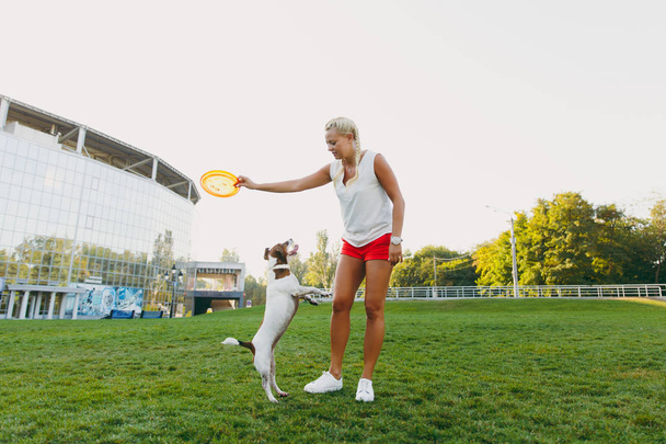 Mulher jogando frisbee laranja para pequeno cão engraçado, que pegá-lo na grama verde. Pequeno Jack Russel Terrier animal de estimação jogando ao ar livre no parque. Cão e dono ao ar livre. Animais em movimento fundo
. - Foto, Imagem