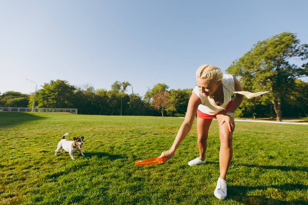 女性が緑の芝生にそれをキャッチ、小さな面白い犬にオレンジのフリスビーを投げます。ジャック ラッセル テリア ペット公園で野外で遊ぶ。犬とオープンエアの所有者。モーション バック グラウンドで動物. - 写真・画像