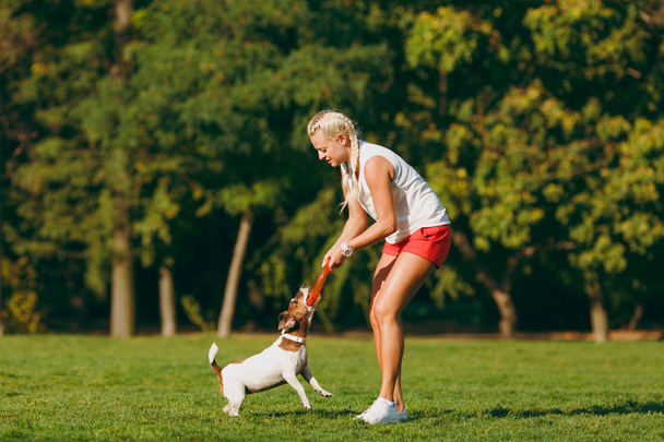 Donna che lancia frisbee arancione al piccolo cane divertente, che cattura sull'erba verde. Piccolo Jack Russel Terrier animale domestico che gioca all'aperto nel parco. Cane e proprietario all'aria aperta. Animale in movimento sfondo
. - Foto, immagini