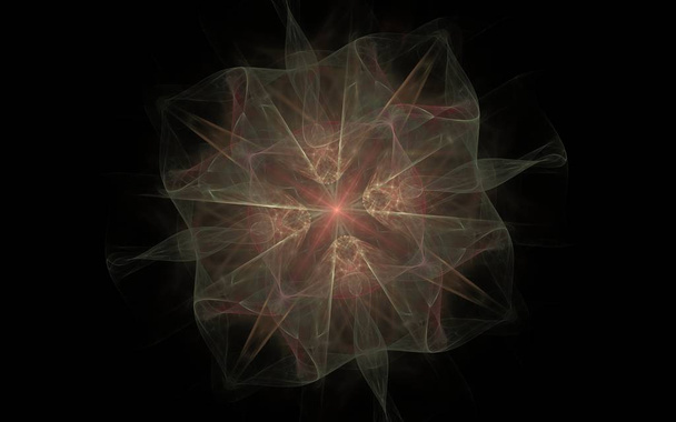 astratto stella, un fiore di teneri sfumature con bordi ondulati su uno sfondo nero
 - Foto, immagini