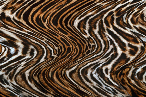luipaard huid textuur achtergrond - Foto, afbeelding