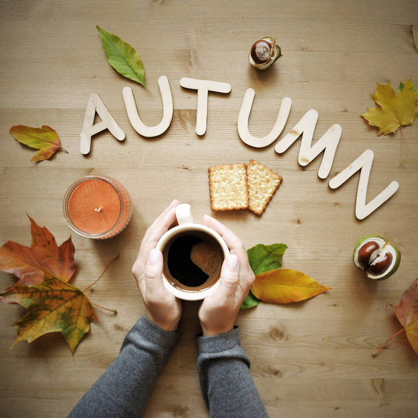 autumn mood composition background - Φωτογραφία, εικόνα