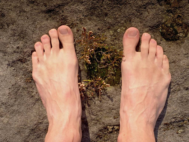 Çıplak erkek ayakları kuru kum taşı üzerinde. Taze pembe deri, Şor tnails. Saf doğa yere yürüyerek  - Fotoğraf, Görsel