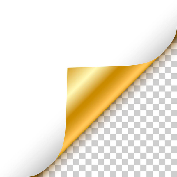 Rincón rizado dorado con reflexión y sombra sobre fondo transparente ilustración vectorial realista
 - Vector, imagen