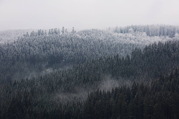 Hämmästyttävä fogy metsä Saksassa
. - Valokuva, kuva