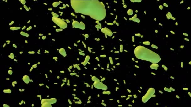Bactéries vertes Infection capable de boucler
 - Séquence, vidéo