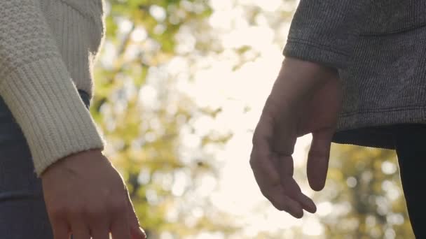 Romantický pár pomalu uchopit rukou po malé argument, symbol Réunion - Záběry, video