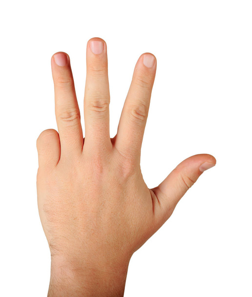 4 本の指を持つ男性の手 - 写真・画像