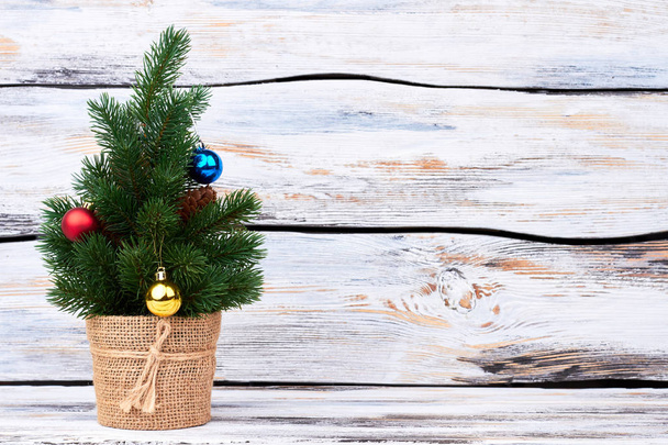 Μικρό χριστουγεννιάτικο δέντρο και αντίγραφο χώρου. - Φωτογραφία, εικόνα