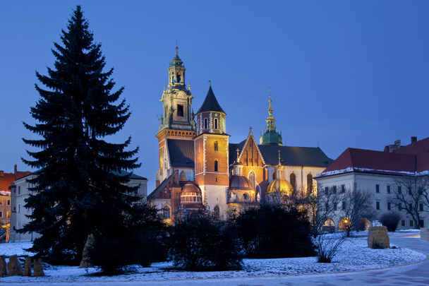 Krakkó - Royal katedrális - a Wawel domb - Lengyelország - Fotó, kép