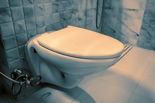 Flush toilet bowl in lavatory - Photo, Image