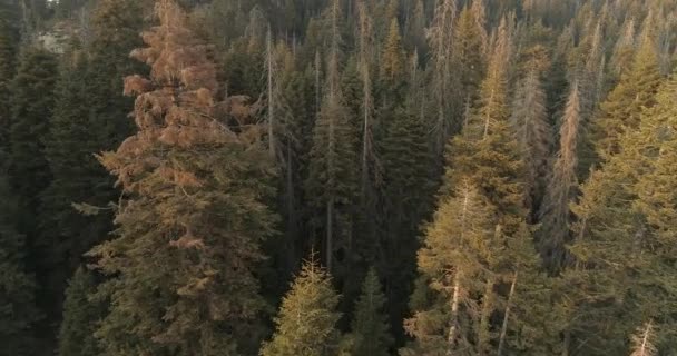Voo sobre o Parque Nacional Sequoia. Nascer do sol. Pôr do sol. 4K. Nov 2017
 - Filmagem, Vídeo