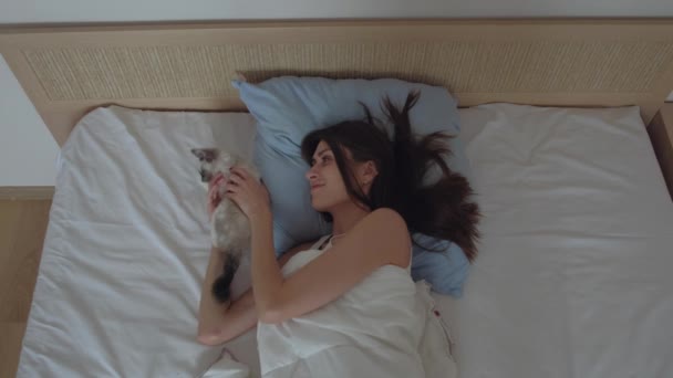 good morning with a pet - Materiał filmowy, wideo