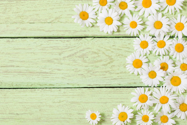 chamomile flowers on green wooden background - Fotó, kép